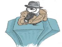 南木林县取证公司解说第三者承担离婚赔偿责任吗